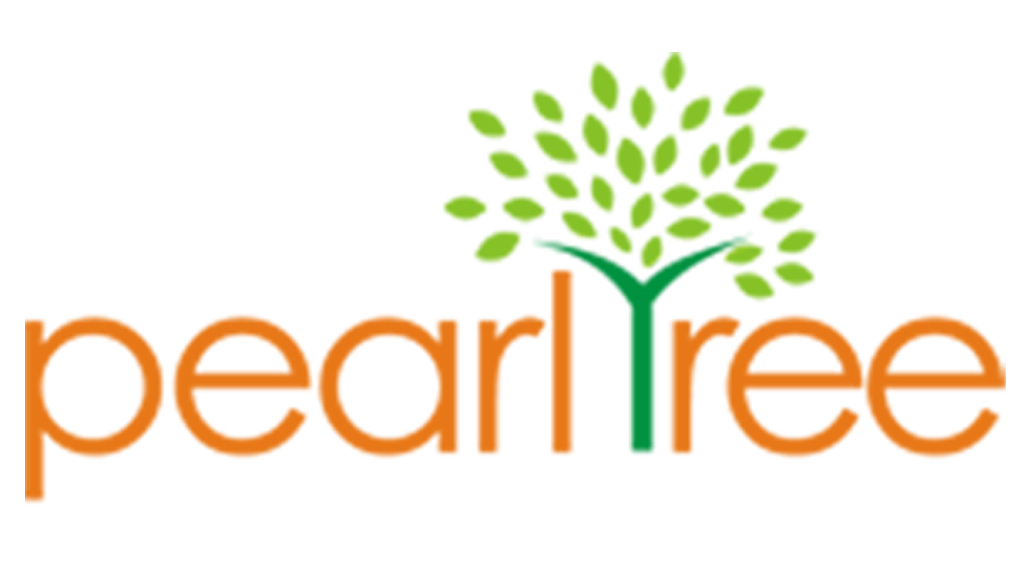 website developer in Tinsukia Assam